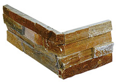 CS-029